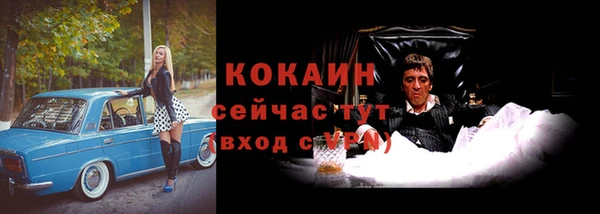 хмурый Алексин