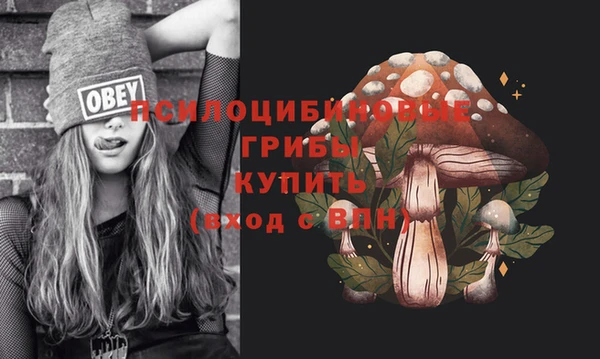 хмурый Алексин