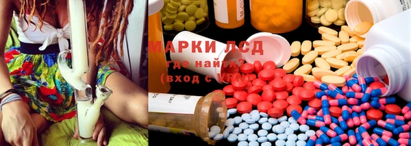крисы Алзамай