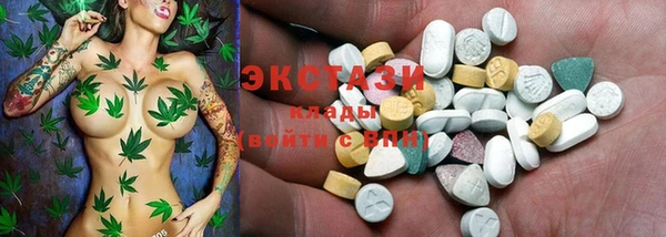 хмурый Алексин