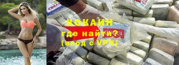 хмурый Алексин