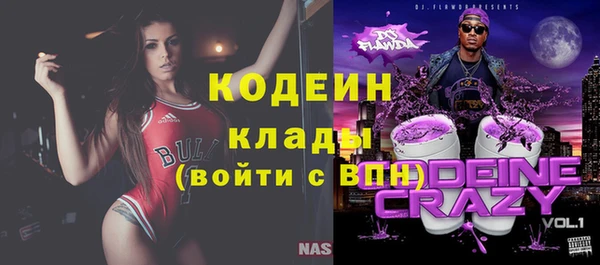 хмурый Алексин