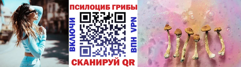 площадка официальный сайт  Кочубеевское  Псилоцибиновые грибы Psilocybine cubensis 